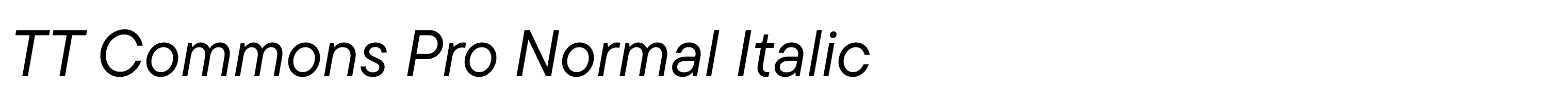 TT Commons Pro Normal Italic